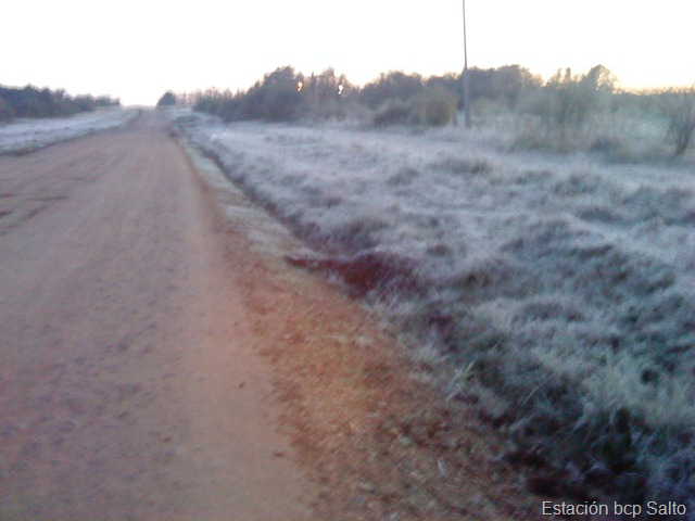 [DSC00933%255B6%255D.jpg]
