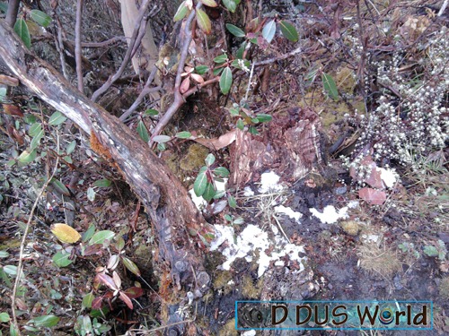 [Pathivarayatra833.jpg]