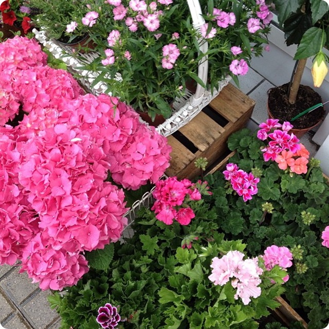 ES PRIMAVERA
