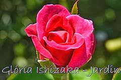 12  - Glória Ishizaka - Rosas do Jardim Botânico Nagai - Osaka