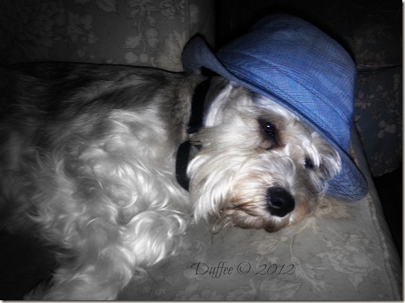 Molly with her Hat