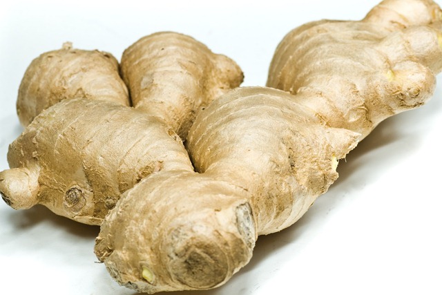 [ginger%255B6%255D.jpg]