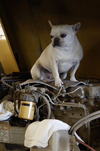 Franny and I are like little sponges and we've learned a lot from being around Martha. We even perform regular maintenance on her Kawasaki.
