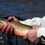 Fly fishing the upper Bitterroot with Roy Loman