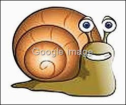 internet siput internet siput