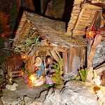 1498-17.JPG