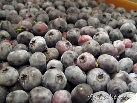 blueberries2