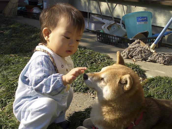 So Sweet Photos : You will smile for sure