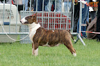COOL BUNIA Family Buldożer