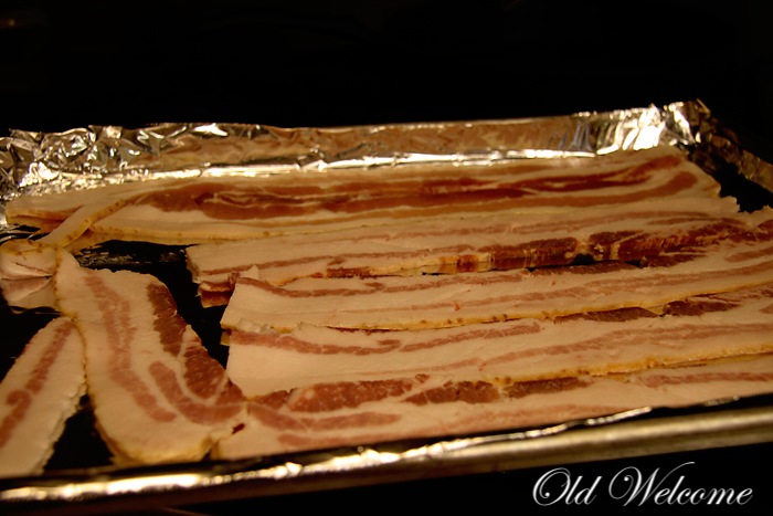 [bacon%2520in%2520the%2520oven%2520five%2520star%2520range%2520old%2520welcome%25202%255B4%255D.jpg]