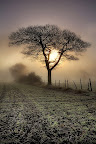 Sunset y77