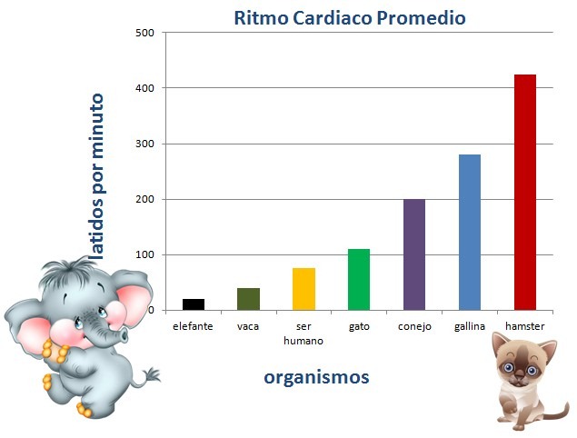 tabla de ritmo cardiaco