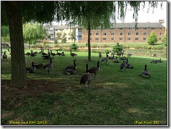 Shots from Warwick University