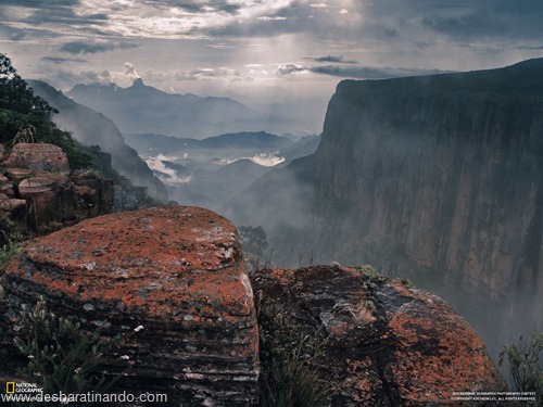 wallpapers national geographic desbaratinando  (24)