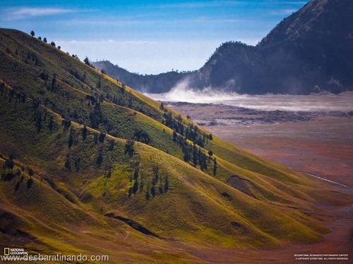 wallpapers national geographic desbaratinando  (46)