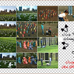 centralpark.jpg