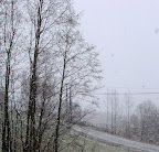 DSC05693.JPG