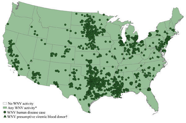 West Nile Virus (WNV) occurrences in the United States, September 2012. Nearly every state in the country has seen some West Nile activity, but the majority of activity has been concentrated in Texas, California, and the Midwest. Centers for Disease Control and Prevention