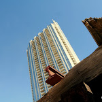 IMG_7550.JPG