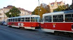 P1020308.JPG
