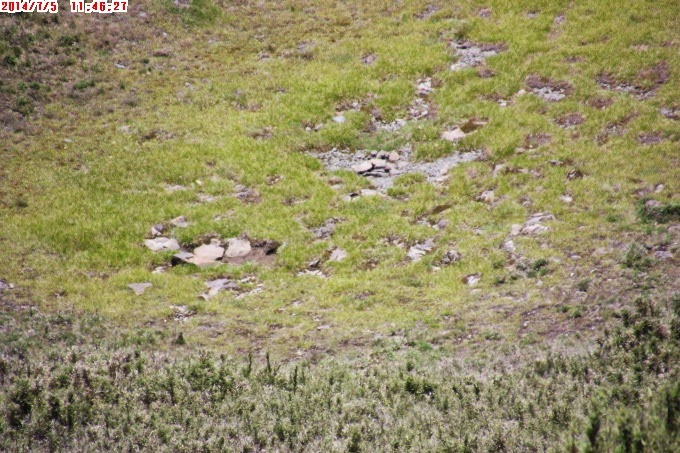 2014_0705_114627 2014_0705_114627