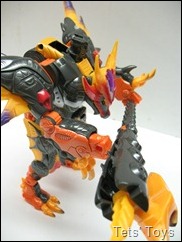 IMG_6252 IMG_6252