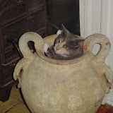 Grace is stuck in the urn.