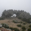 P4120153.JPG