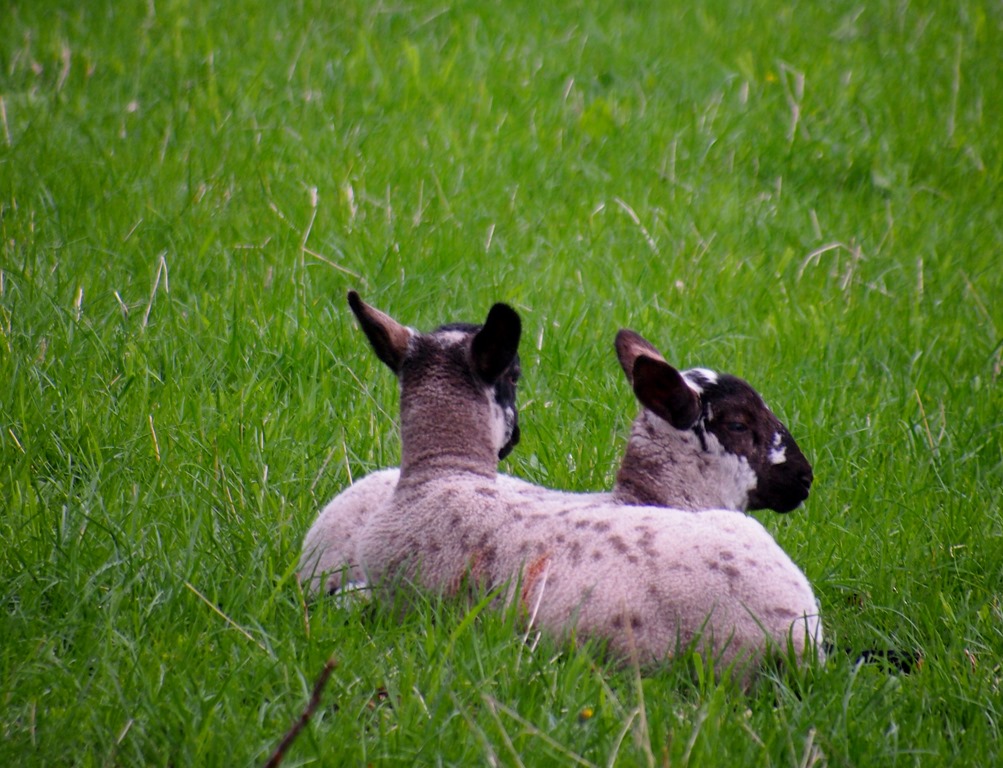 [8%2520May%25202%252008-05-2013%252011-37-24%25203016x2310%255B3%255D.jpg]