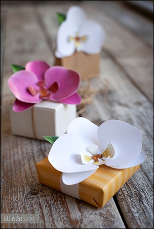 Orchid2