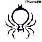 spiders-tribal-03.jpg