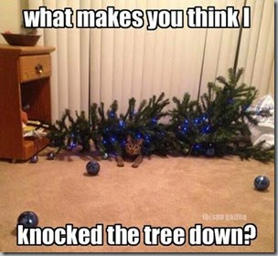 what makes you think I knocked the tree down