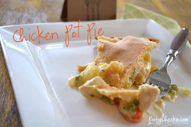 DSC_2265_potpie