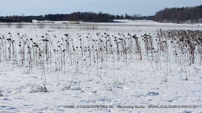 IMG_4618.JPG