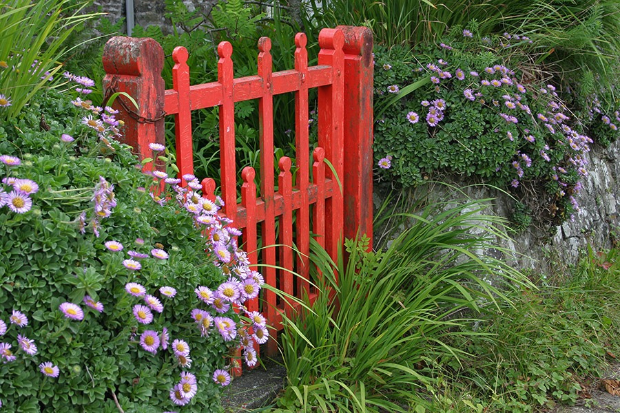 Garden Inspiration from Cornwall, England