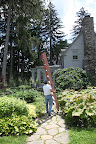 Be careful with that ladder Carlos, we don't want to damage the leaves of any of Martha's plants!