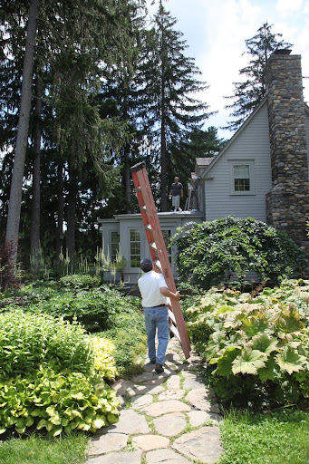 Be careful with that ladder Carlos, we don't want to damage the leaves of any of Martha's plants!