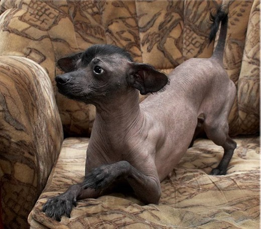 [4c3db8b444d45cc85195775f148c2d875f54c279321979%255B7%255D.jpg]