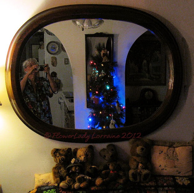 [12-10-christmas-tree3%255B5%255D.jpg]