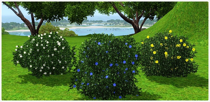 [Thumbnail_688x336%255B4%255D.jpg]