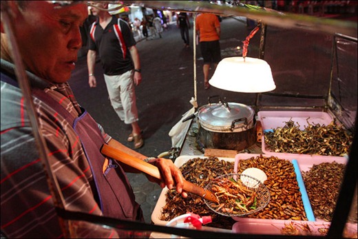 [clip_image019%255B3%255D.jpg]