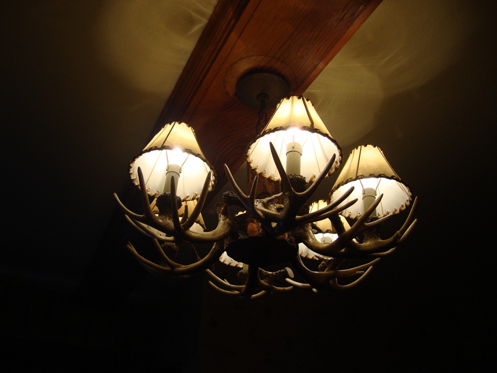 [dsc023208.jpg]