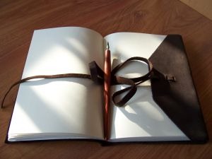 [traditionaljournal%255B5%255D.jpg]