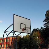 Koszyk&oacute;wka