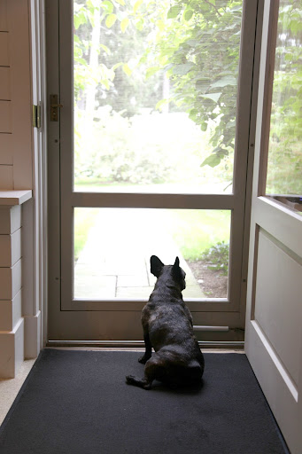 Sharkey - We better drive around the farm and make sure the crew is battening down the hatches.  We want to be as safe as possible.