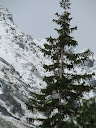 IMG_1503.jpg