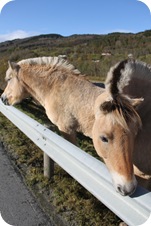 H&oslash;stdag 018
