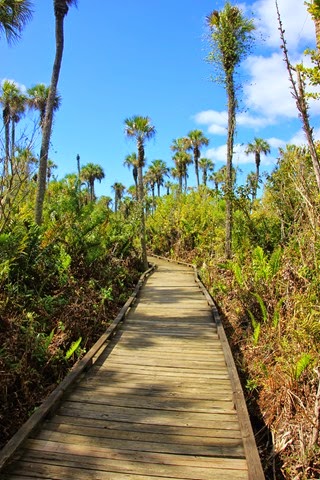 Collier Seminole Boardwalk