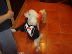 PELE muy guapo con su traje de gala