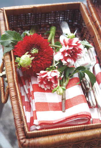 I love this Americana moment of dahlias and stripes.